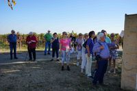 Herbsttreffen im Diakonissen-Mutterhaus in Neustadt/ Lachen - Marienkapelle, Kirrweiler um dort den Biblischen Weinpfad zu entdecken.